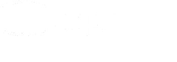 Associação Nacional de Professores de Informática